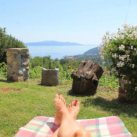 2 Apartments In Old Stone House Near Opatija Ičići Kültér fotó