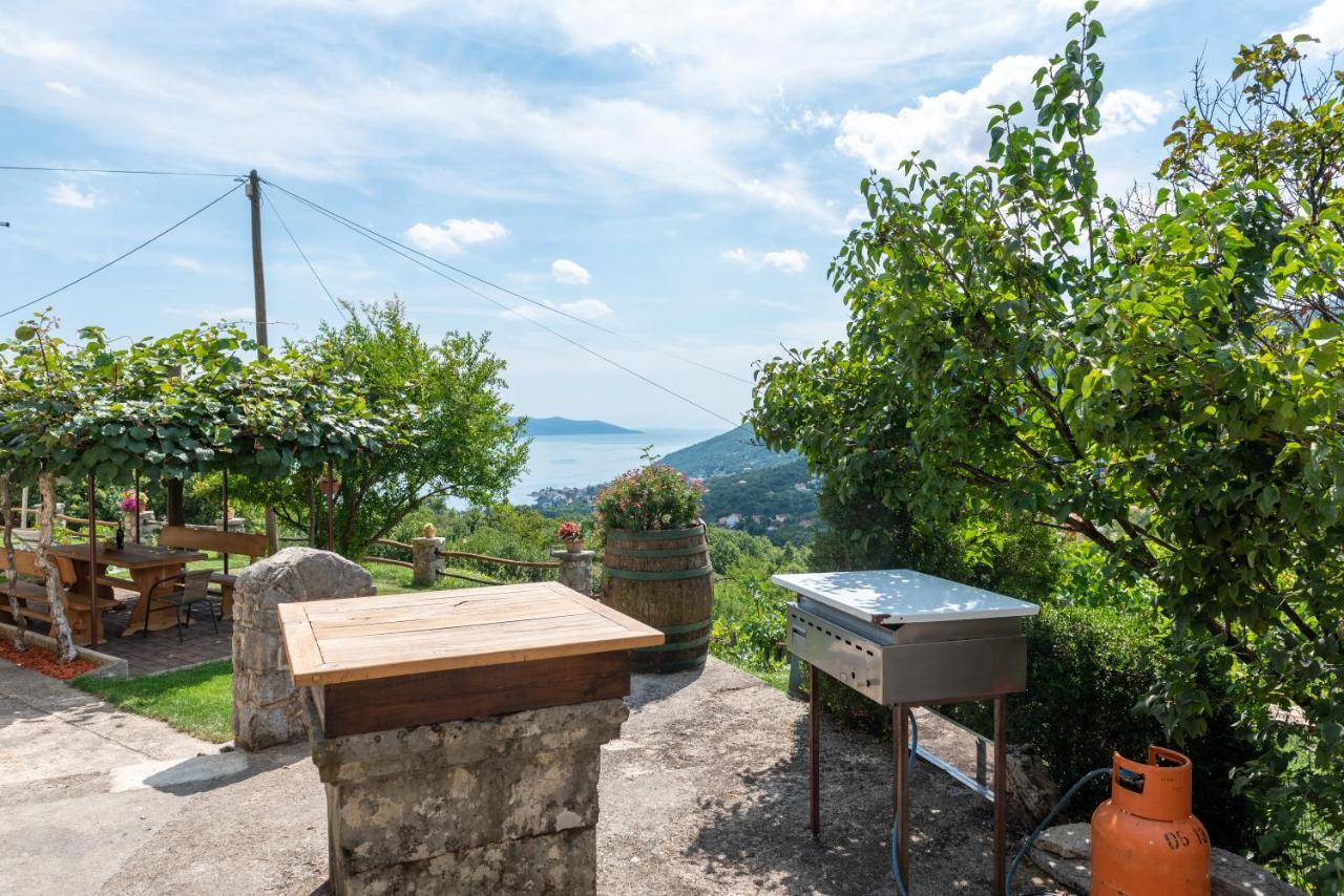 2 Apartments In Old Stone House Near Opatija Ičići Kültér fotó