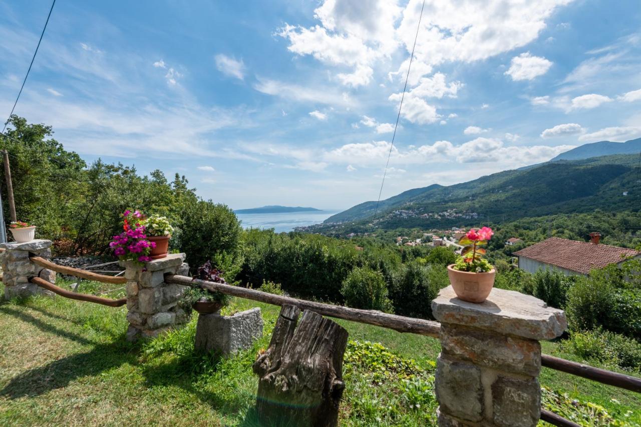 2 Apartments In Old Stone House Near Opatija Ičići Kültér fotó