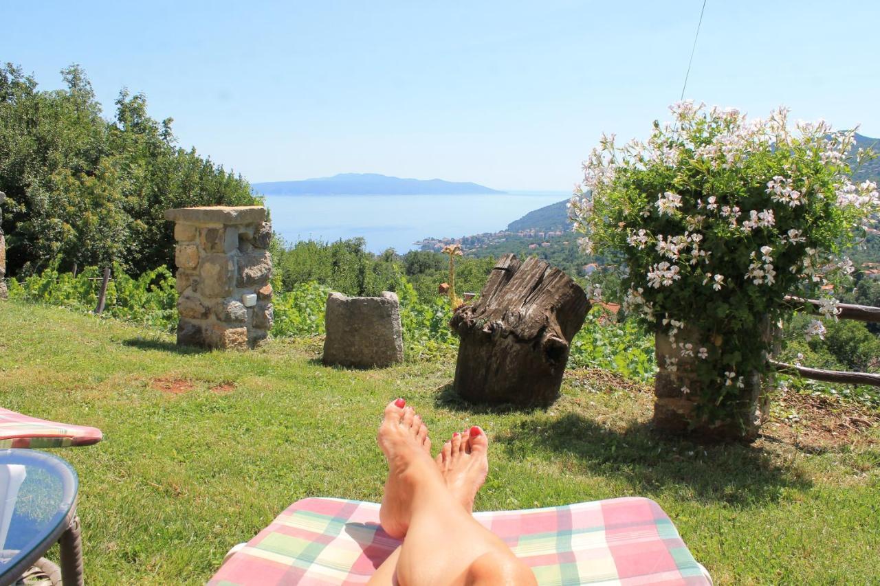 2 Apartments In Old Stone House Near Opatija Ičići Kültér fotó